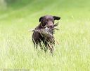 20160605-shrl-0566