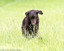 20160605-shrl-0569