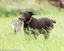 20160605-shrl-0576