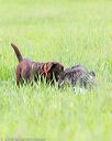 20160605-shrl-0656