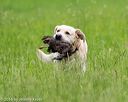 20160605-shrl-0676