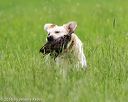 20160605-shrl-0678