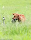 20160605-shrl-0709