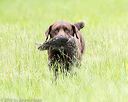20160605-shrl-0744