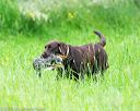 20160605-shrl-0914