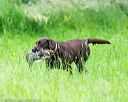 20160605-shrl-0915