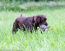 20160605-shrl-0917