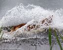 20160605-shrw-0061