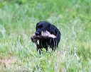 20160605-shrw-0161