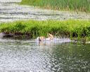 20160605-shrw-0313