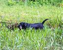20160605-shrw-0336