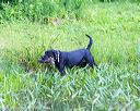 20160605-shrw-0549