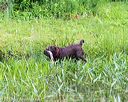 20160605-shrw-0758