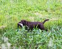 20160605-shrw-0762