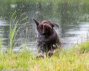20160605-shrw-0800
