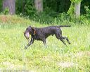 20160605-shrw-0826