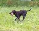 20160605-shrw-0829