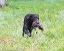 20160605-shrw-0831