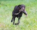 20160605-shrw-0833