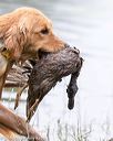 20160605-shrw-1052
