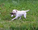 20160605-shrw-1083