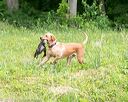 20160605-shrw-1382