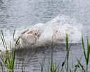 20160605-shrw-1400