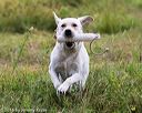 20160717-pwl-0011