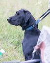 20160717-pwl-0039