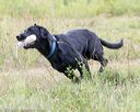 20160717-pwl-0044