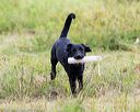 20160717-pwl-0076