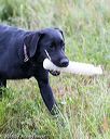 20160717-pwl-0106