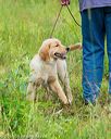 20160717-pwl-0110