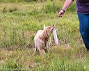 20160717-pwl-0121