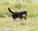 20160717-pwl-0133