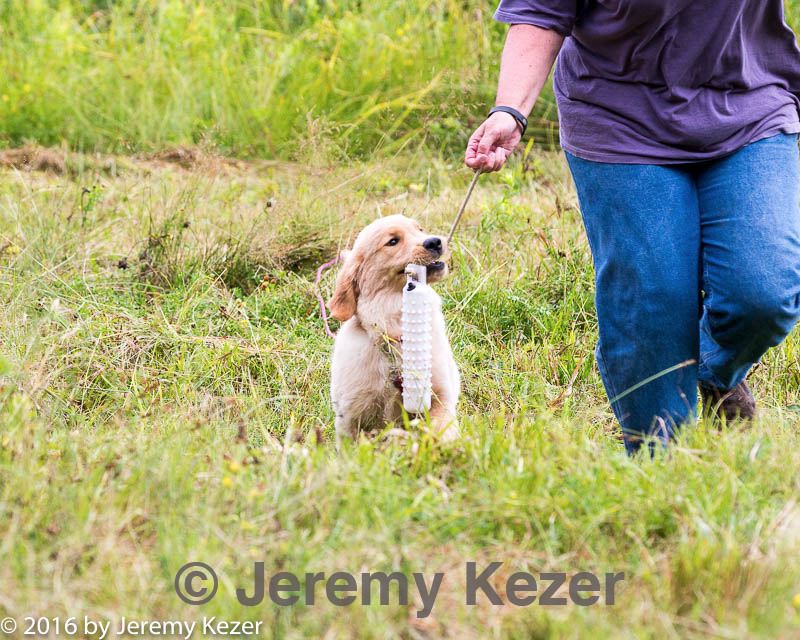 20160717-pwl-0116.jpg