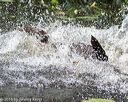 20160717-pww-0082