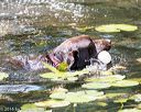 20160717-pww-0089