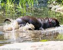 20160717-pww-0097