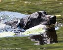 20160717-pww-0126