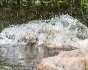 20160717-pww-0137