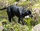 20160717-pww-0168