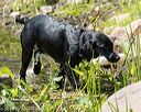 20160717-pww-0169