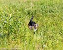 20160717-wcl-0111