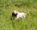 20160717-wcl-0141
