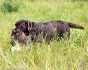 20160717-wcl-0205