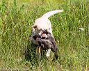20160717-wcl-0409