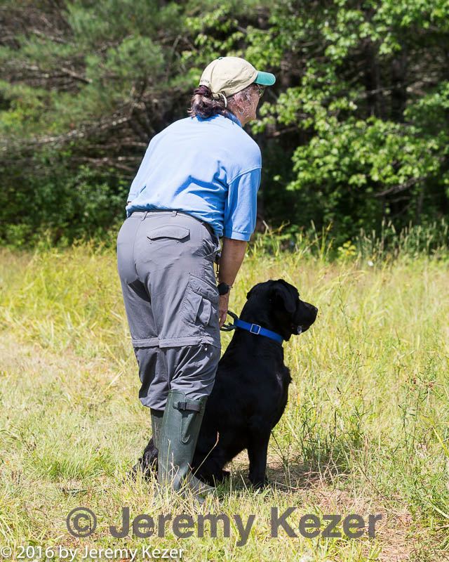 20160717-wcl-0314.jpg