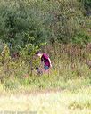 20160924-c-0004