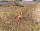 20160924-mh2-0212